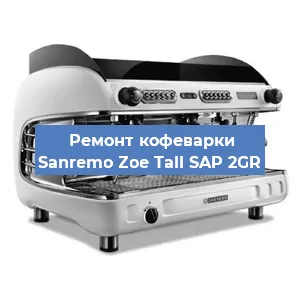 Чистка кофемашины Sanremo Zoe Tall SAP 2GR от кофейных масел в Нижнем Новгороде